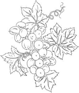 How to embroider grapes and vine leaves - Ideas and advice - Hand ...